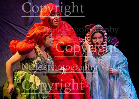 Little_Mermaid_357