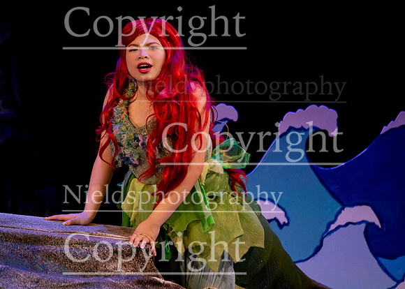 Little_Mermaid_324