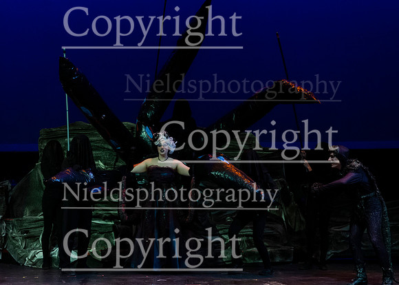Little_Mermaid_191