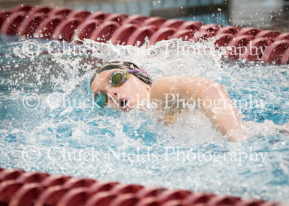 State Swimming_228