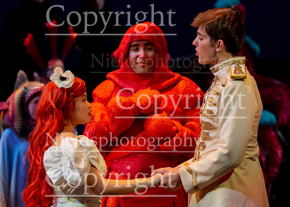 Little_Mermaid_593