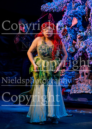 Little_Mermaid_396