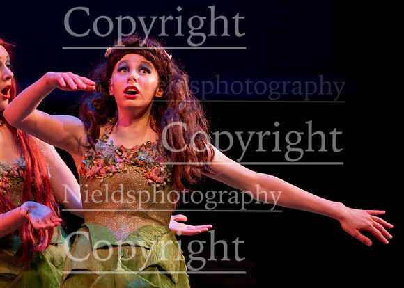 Little_Mermaid_337