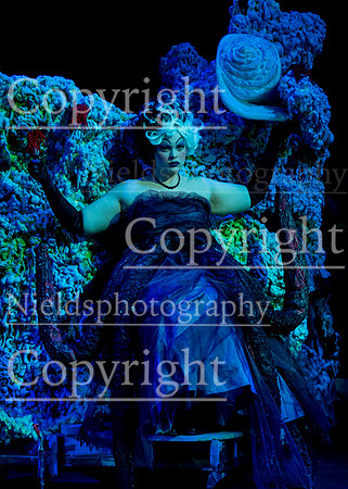 Little_Mermaid_283