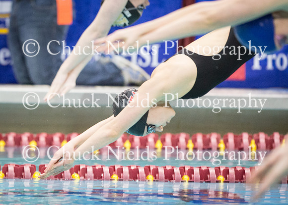 State Swimming_134
