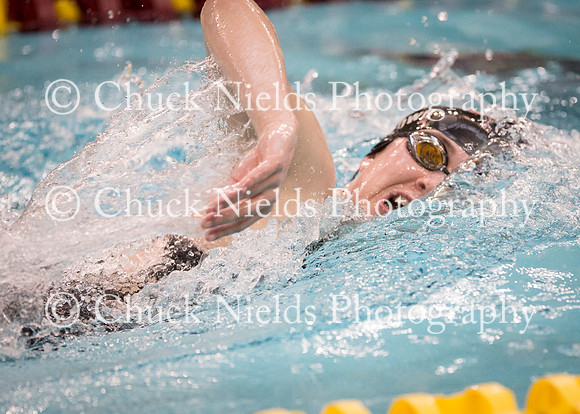 State Swimming_128