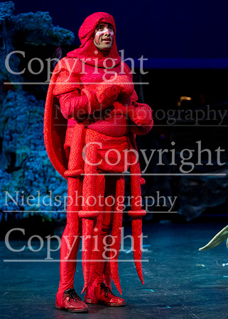 Little_Mermaid_346