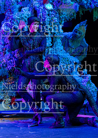 Little_Mermaid_398
