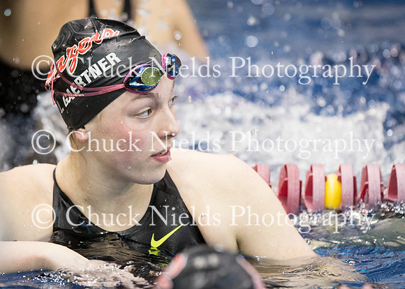 State Swimming_040