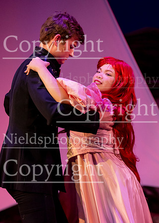 Little_Mermaid_513