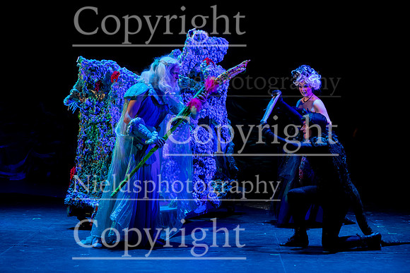 Little_Mermaid_570