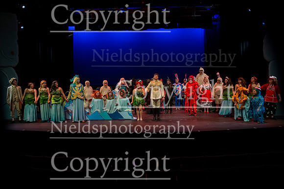 Little_Mermaid_209