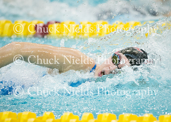 State Swimming_184