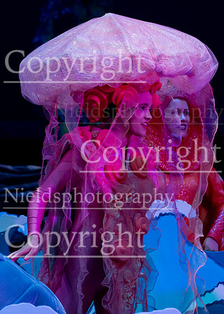 Little_Mermaid_530