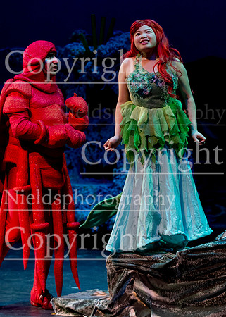 Little_Mermaid_347