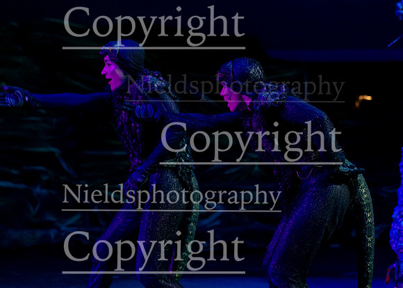 Little_Mermaid_405