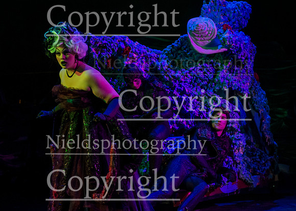 Little_Mermaid_157