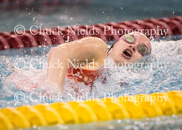State Swimming_061