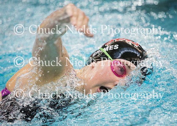 State Swimming_209
