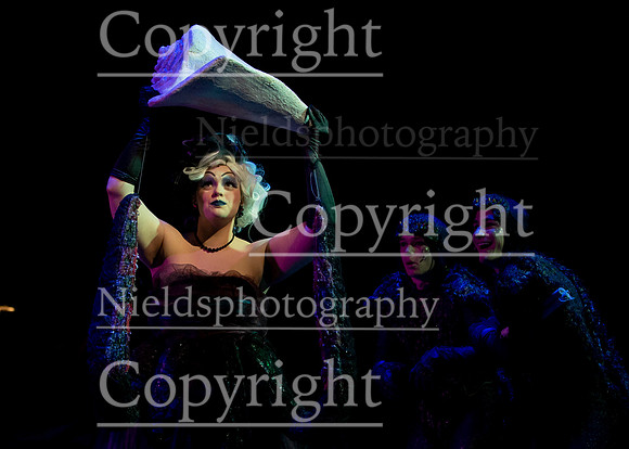 Little_Mermaid_433