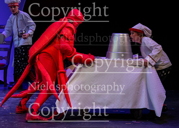 Little_Mermaid_143