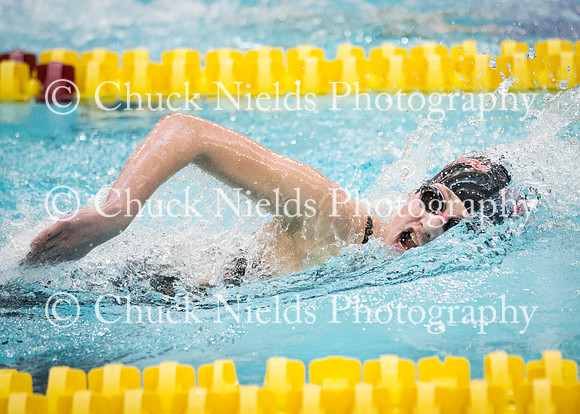 State Swimming_366
