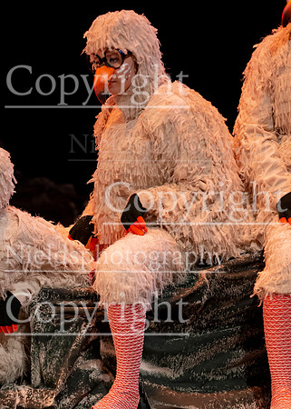 Little_Mermaid_443