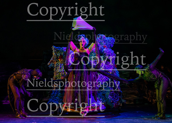 Little_Mermaid_159