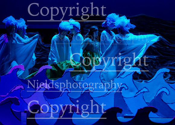 Little_Mermaid_436