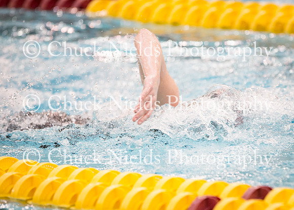 State Swimming_124