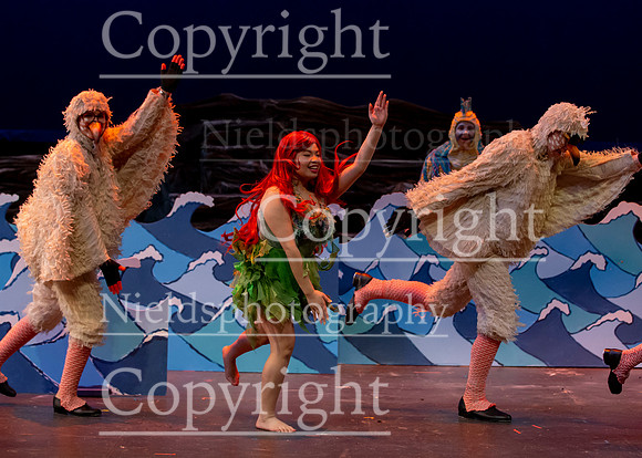 Little_Mermaid_457