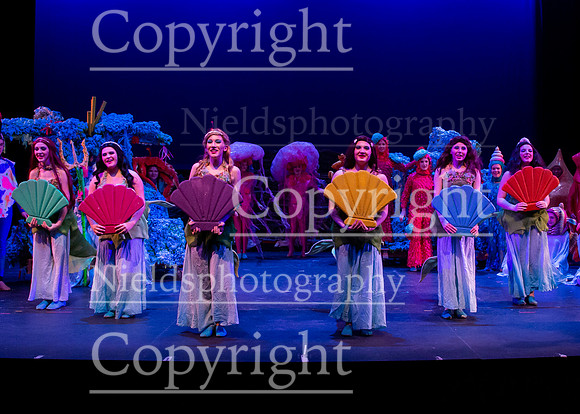 Little_Mermaid_018