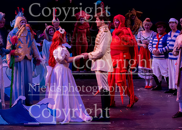 Little_Mermaid_591