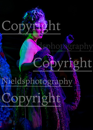 Little_Mermaid_519