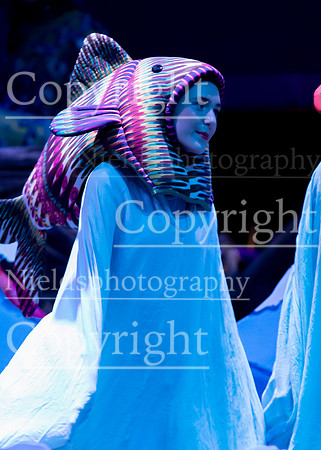 Little_Mermaid_527