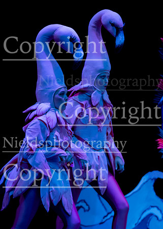 Little_Mermaid_526