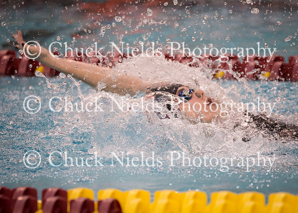 State Swimming_021