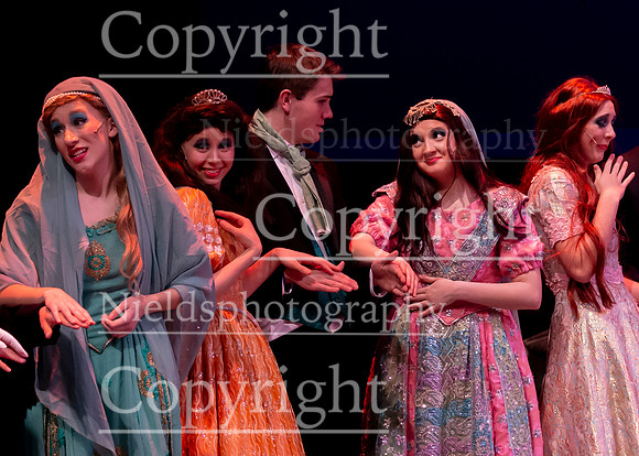Little_Mermaid_563