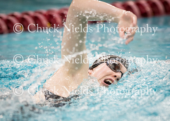 State Swimming_220