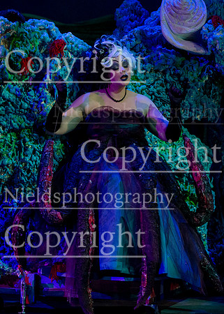 Little_Mermaid_411