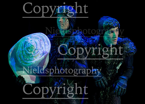 Little_Mermaid_424
