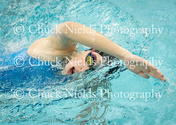 State Swimming_339