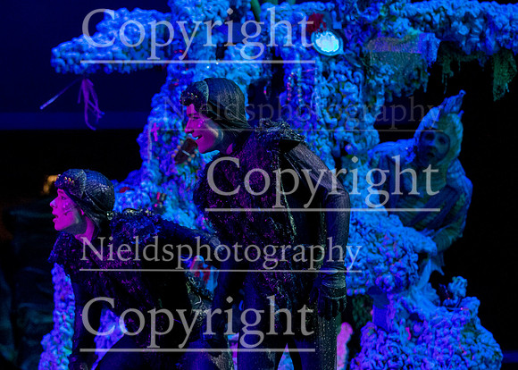 Little_Mermaid_404