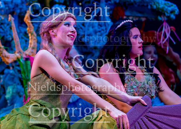 Little_Mermaid_271