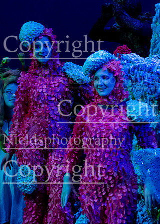 Little_Mermaid_247