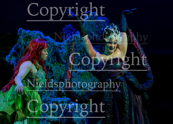 Little_Mermaid_432