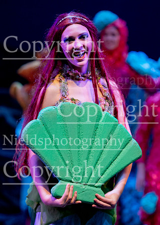 Little_Mermaid_268