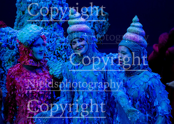 Little_Mermaid_243
