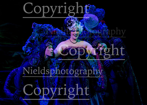 Little_Mermaid_294