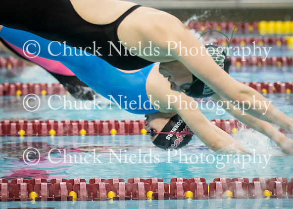 State Swimming_335